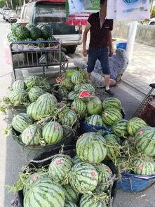 沂水吃瓜网红事件视频,一场网络狂欢背后的真相揭秘