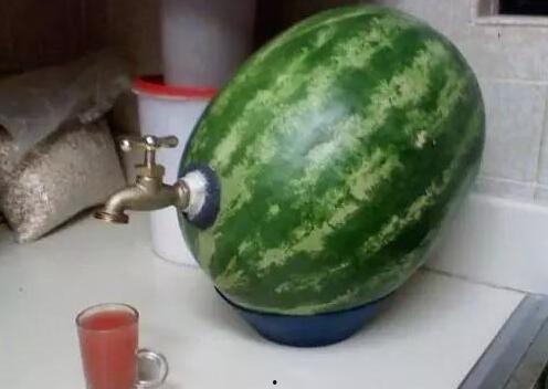 搞笑吃瓜网官网,揭秘娱乐圈幕后趣事，带你笑翻全场！